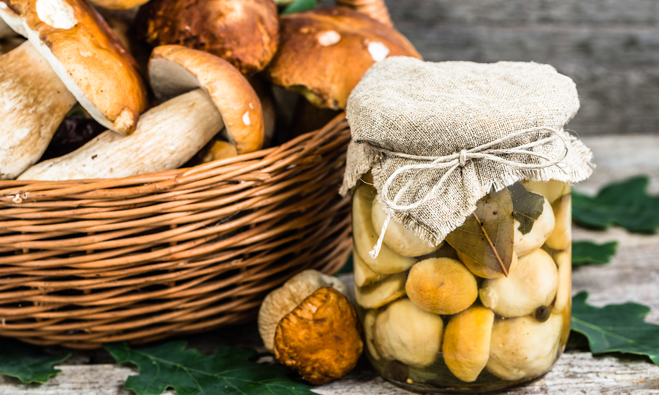 Funghi sott'olio Maia