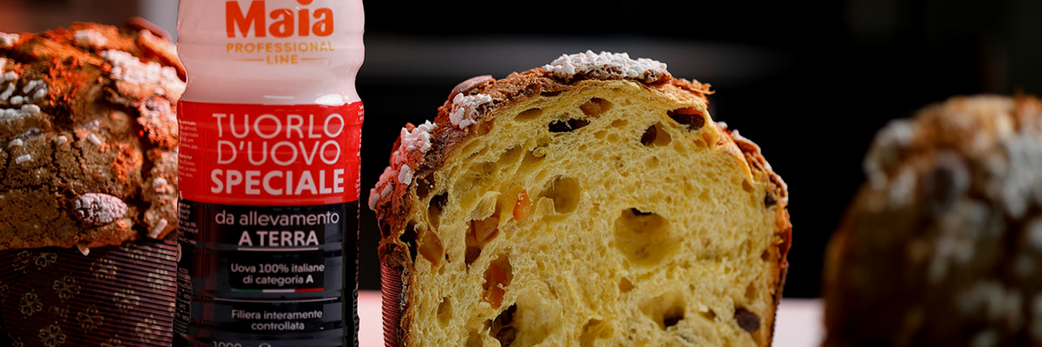 Ricetta Maia per realizzare il Panettone Artigianale