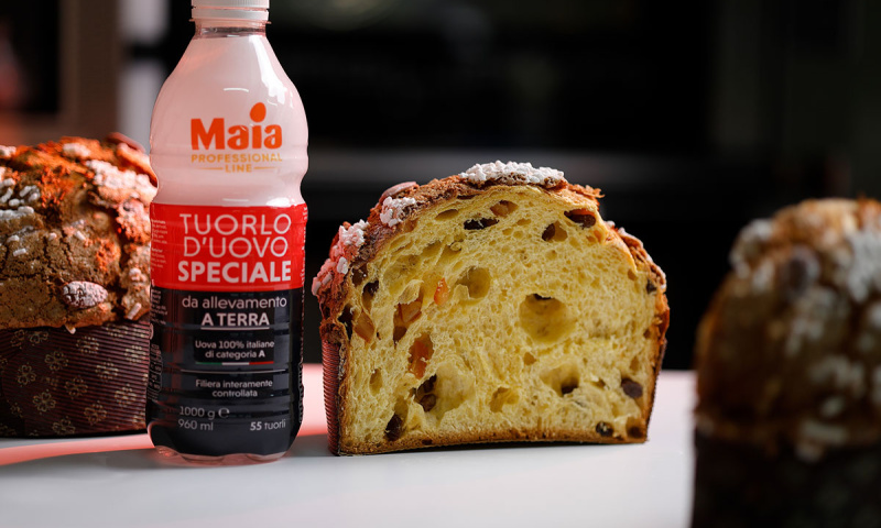 Ricetta Maia per realizzare il Panettone Artigianale